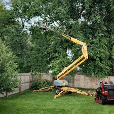 Decatur, AL Tree Care Company